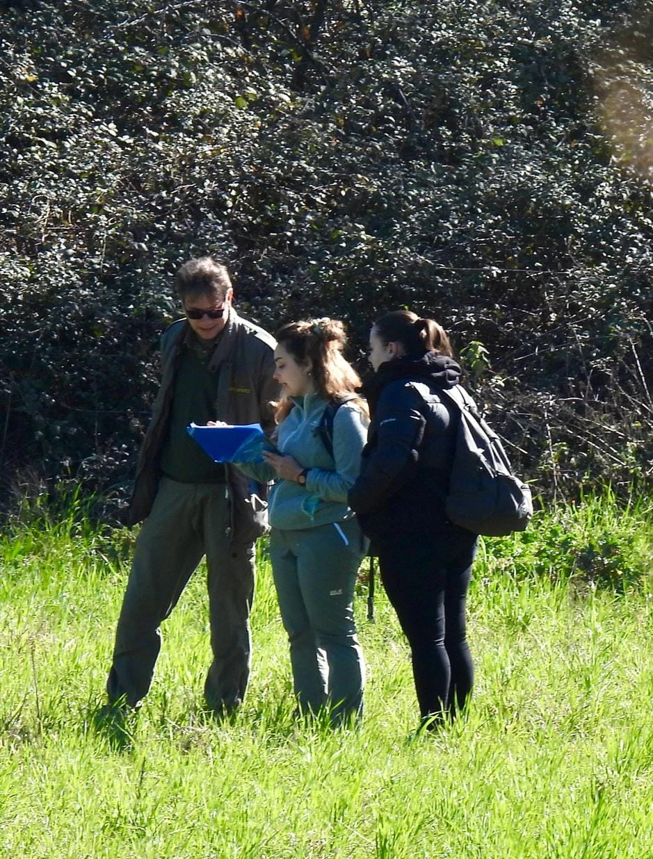 Field team recording observations outdoors