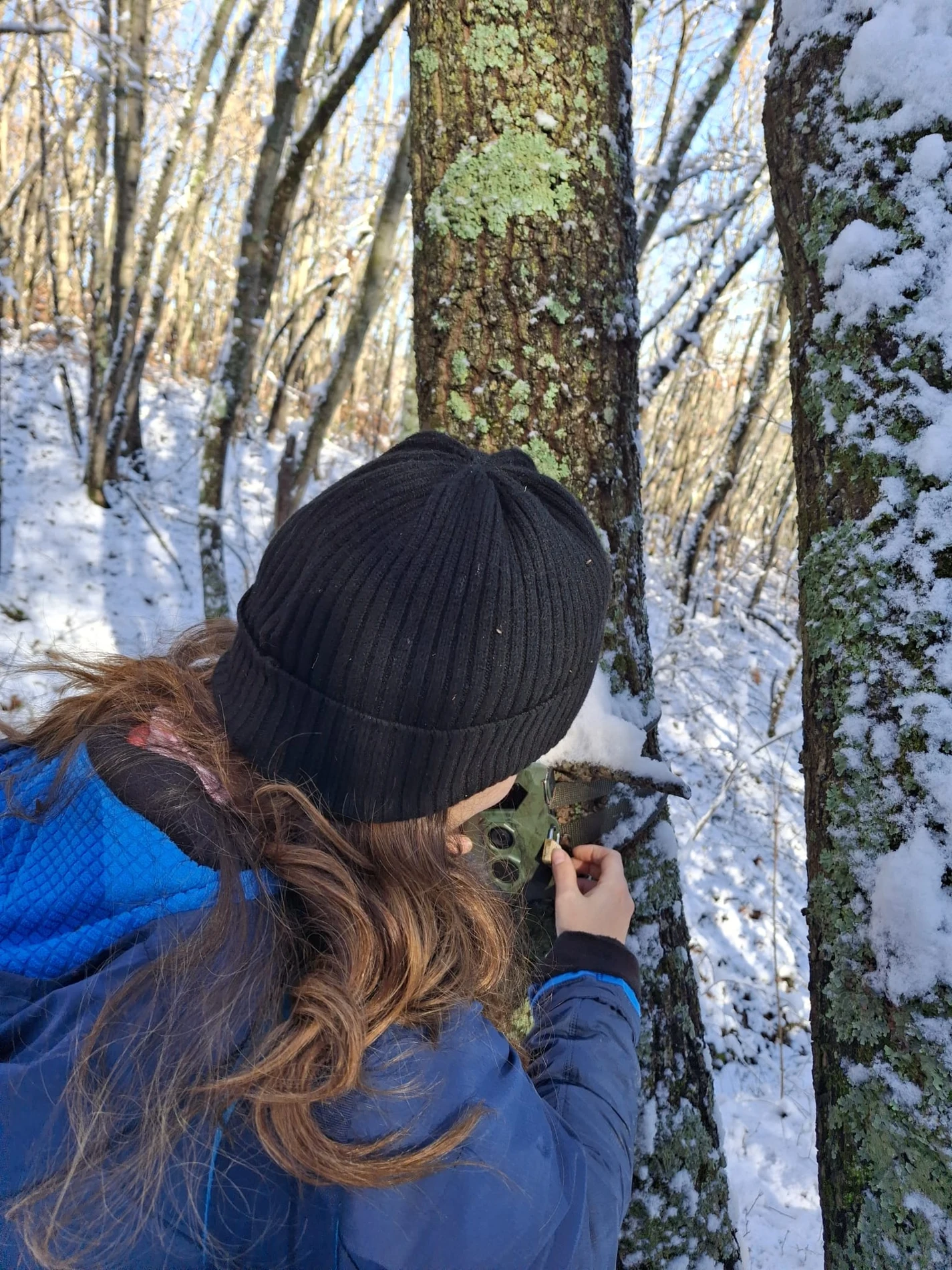 Checking a camera trap in a snow-covered forest